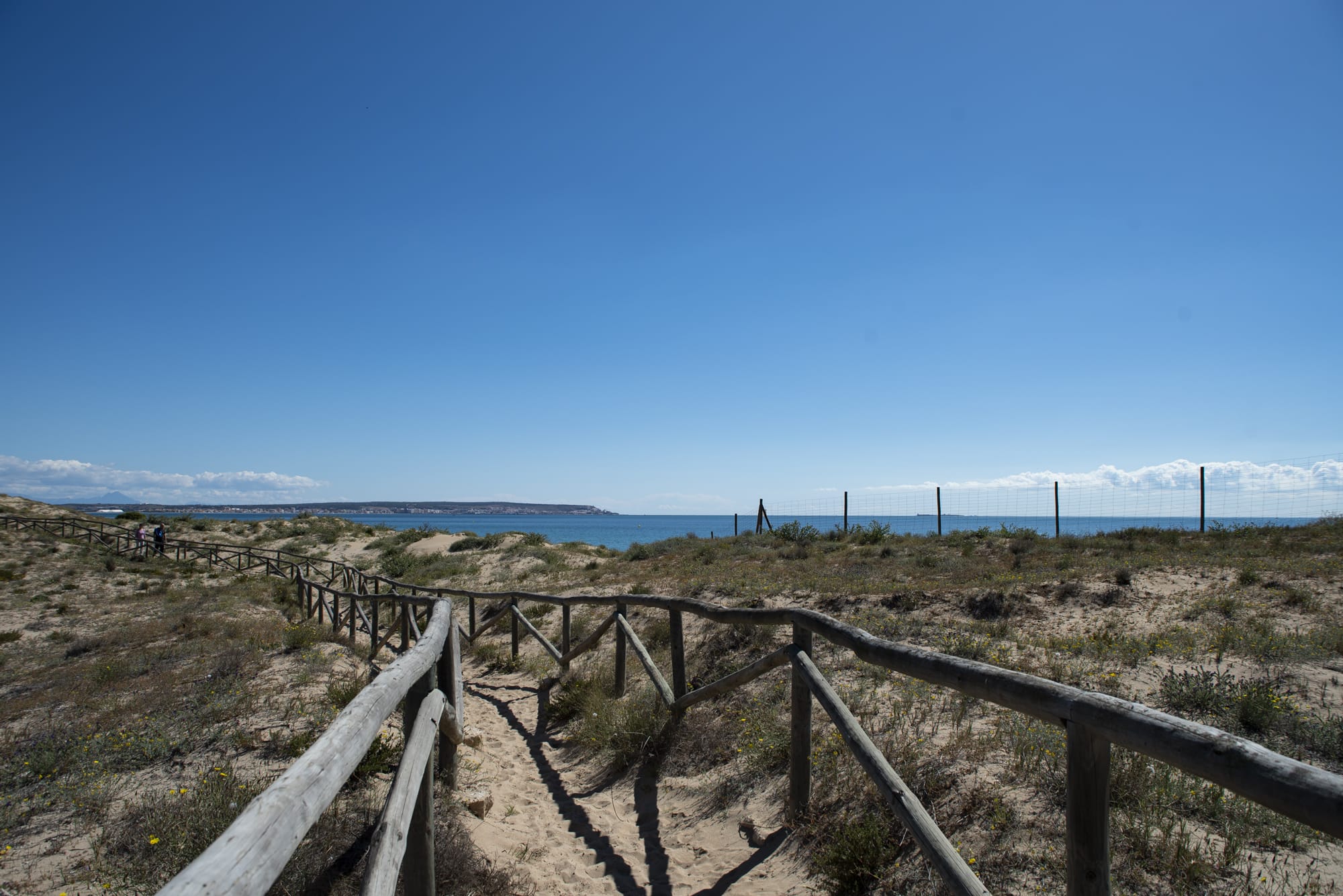 Ruta El Pinet