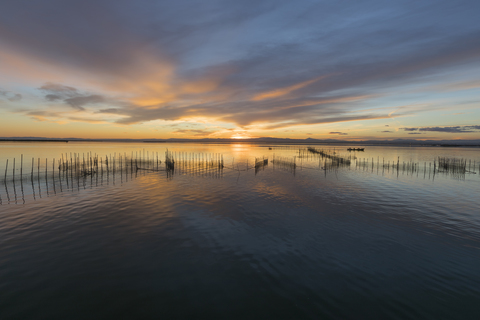 albufera