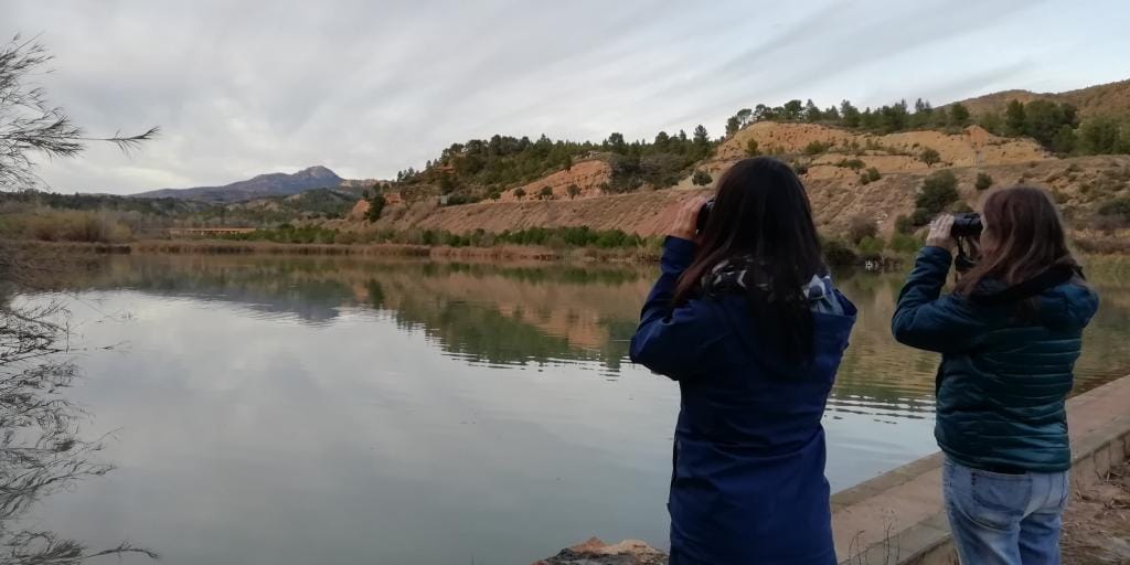 Birding in the Alto turia