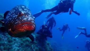 Centro Buceo Charters Casamar