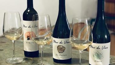 botellas vino mar de vins