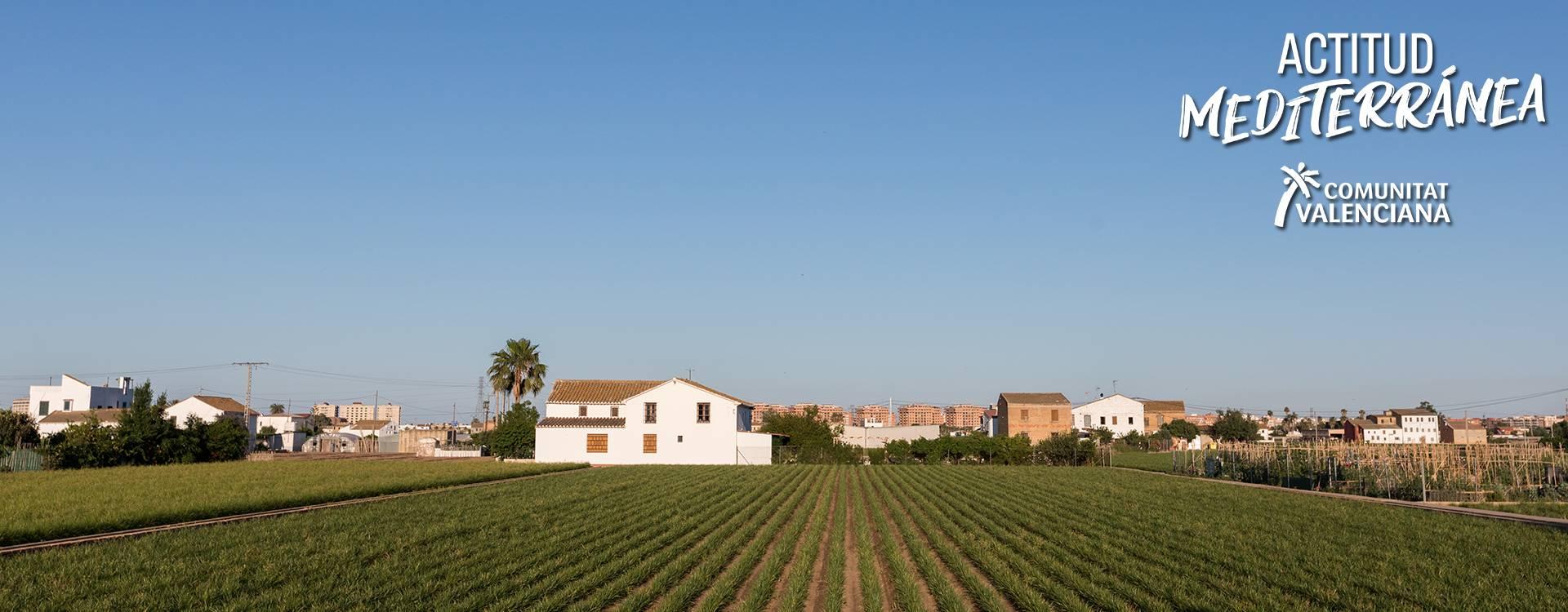  Image of a farmhouse in the orchard of Alboraya	