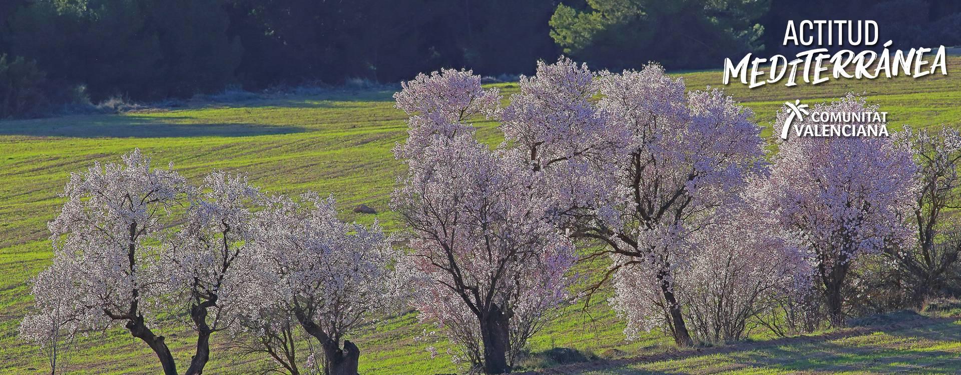 Imagen del Paraje Natural Municipal Sierra de las Águilas y San Pascual